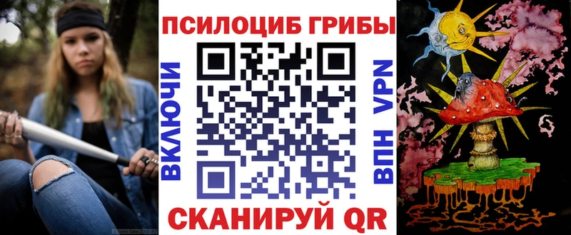 купить   дарк нет наркотические препараты  Галлюциногенные грибы GOLDEN TEACHER  Луховицы 