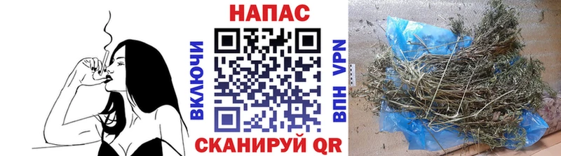 Шишки марихуана White Widow Луховицы